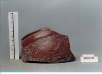 coppa/ forma parzialmente ricostruibile