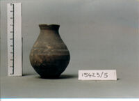 vaso