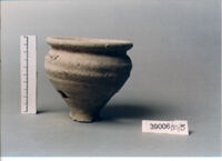 olla perforata