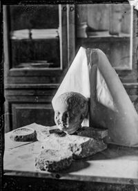 Testa di fanciullo