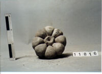 ELEMENTO ARCHITETTONICO