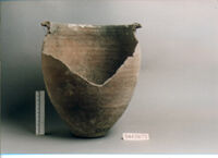 OLLA