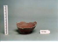 coppa/ forma parzialmente ricostruibile