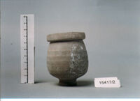 vaso