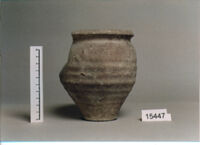 olla perforata