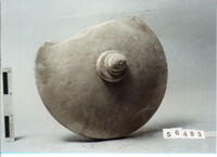 urna a vaso/ coperchio