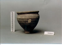 olla perforata