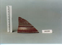 coppa/ forma parzialmente ricostruibile