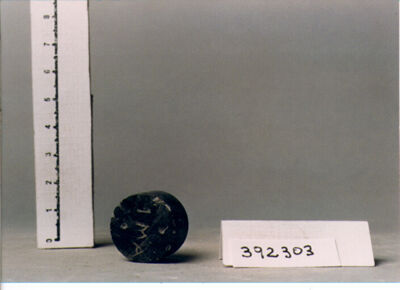 Titolo immagine