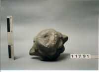 CAPITELLO A FOGLIE LISCE DI COLONNINA