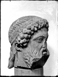 Erma barbata tipo Efeso