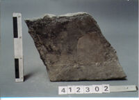 LASTRA DI RIVESTIMENTO