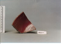 coppa/ forma parzialmente ricostruibile