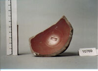 coppa/ forma parzialmente ricostruibile