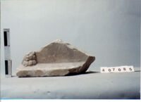 ELEMENTO ARCHITETTONICO