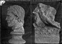 Ritratto ellenistico e antefissa con Nereide e ippocampo