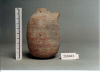 vaso