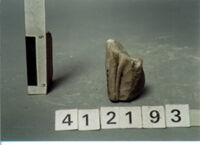 capitello/ frammento