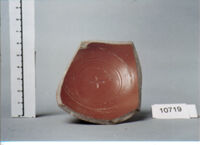 coppa/ forma parzialmente ricostruibile