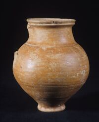 Brocchetta monoansata