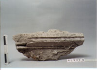 ELEMENTO ARCHITETTONICO