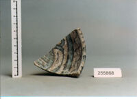 CIOTOLA/ FORMA PARZIALMENTE RICOSTRUIBILE