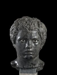 Testa di giovane africano