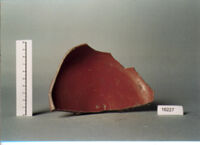 COPPA/ FORMA RICOSTRUIBILE