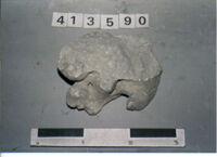 capitello/ frammento