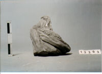 BUSTO