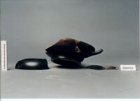 KYLIX