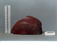 coppa/ forma parzialmente ricostruibile