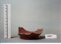 coppa/ forma parzialmente ricostruibile