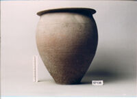 OLLA