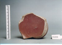 coppa/ fondo