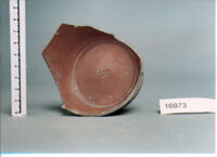 coppa/ forma parzialmente ricostruibile