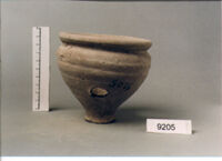 olla perforata