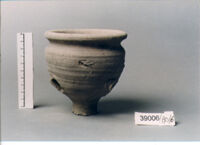 olla perforata