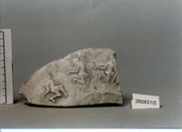 CALCO DI PARETE DI VASO