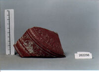 coppa/ forma parzialmente ricostruibile