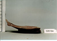 coppa/ forma ricostruibile